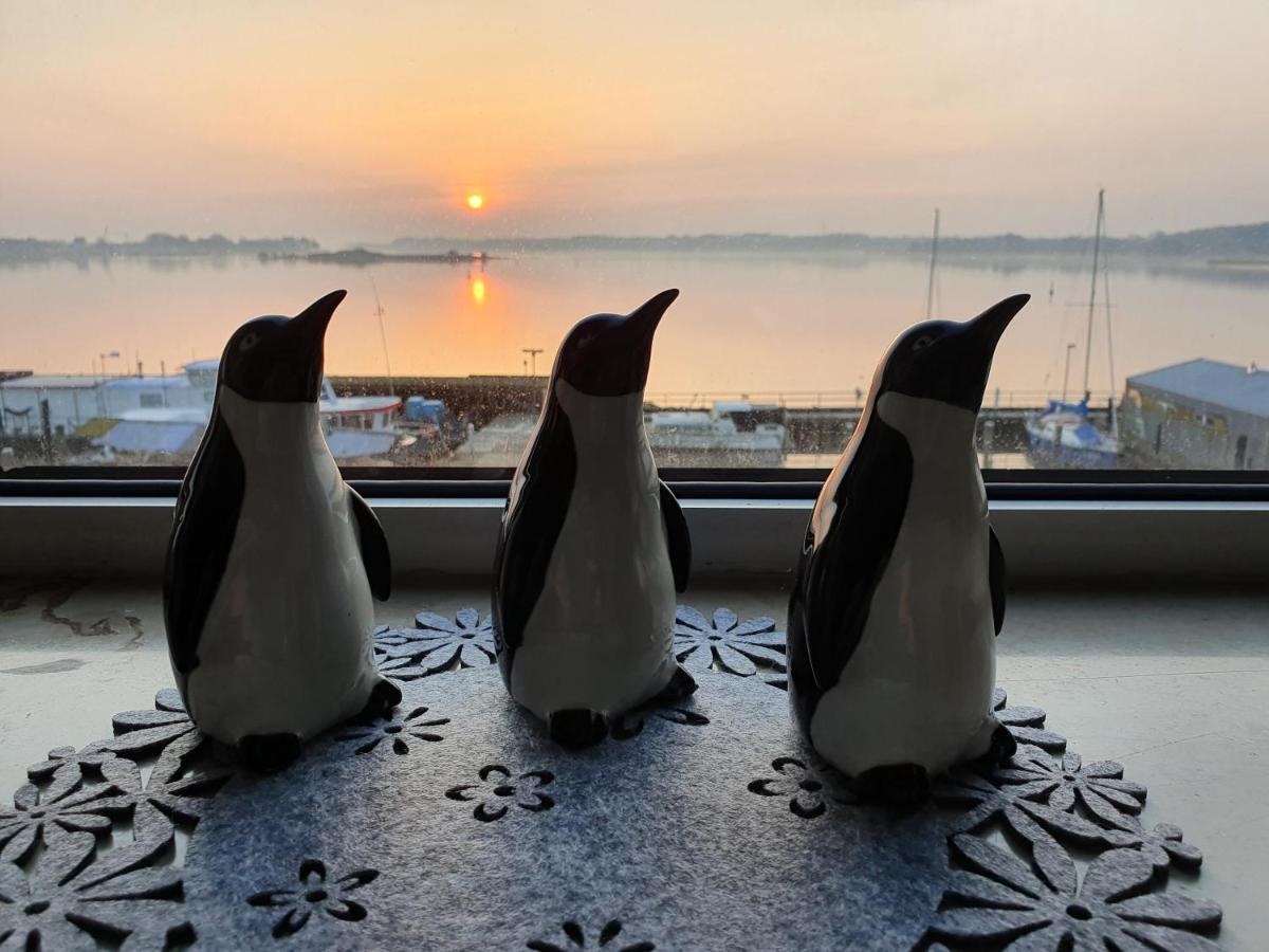 Ferienwohnung Schleiloge Mit Panoramablick Auf Die Schlei Slesvig Eksteriør billede